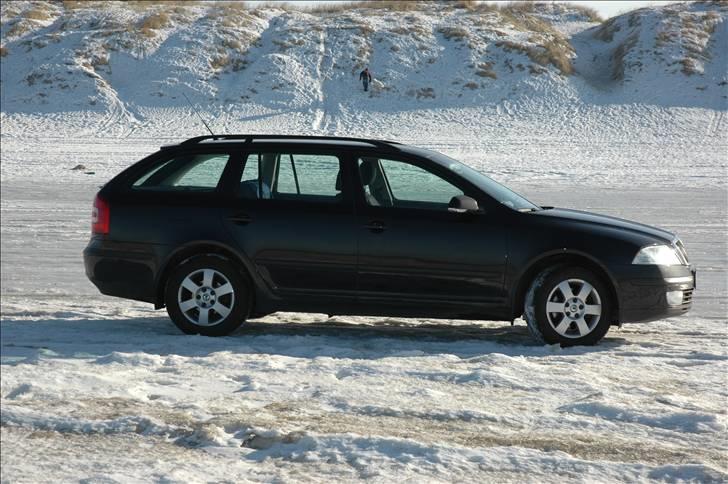 Skoda Octavia Combi Elegance - Ved Vesterhavet billede 4