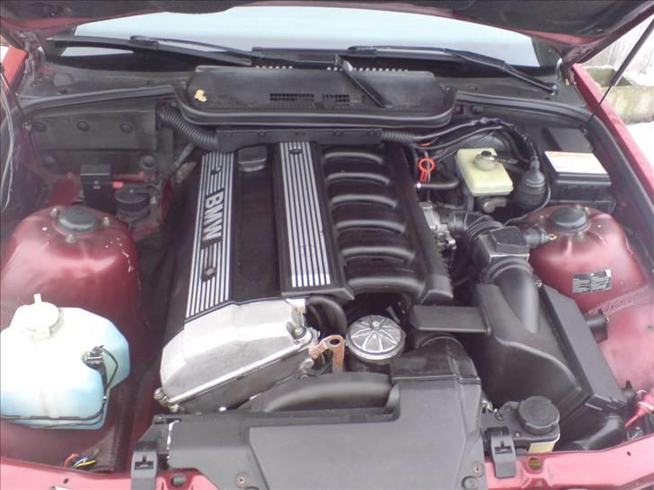 BMW E36 coupe SOLGT billede 6