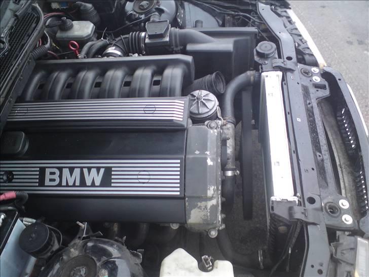 BMW e36 325 SOLGT billede 2