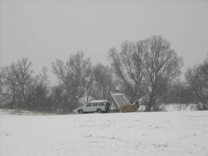 Nissan patrol bus billede 4