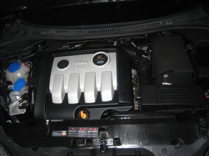 Seat Altea billede 11