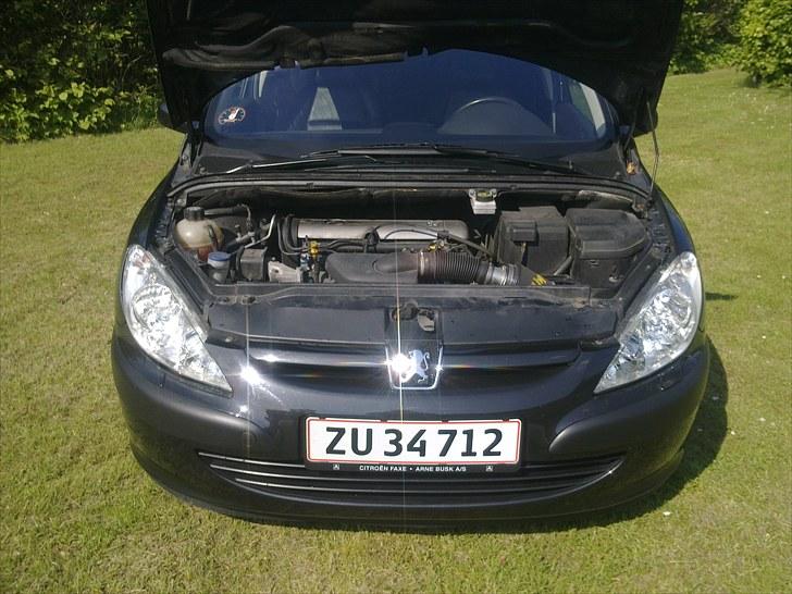 Peugeot 307 Griffe billede 12