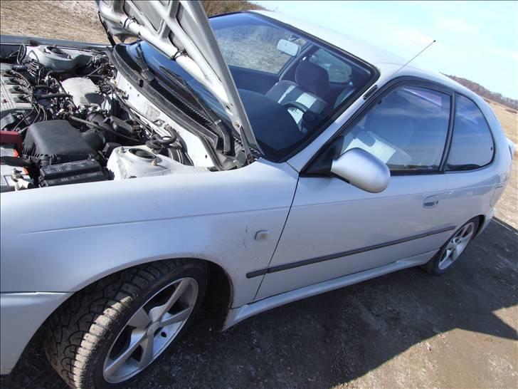 Toyota Corolla 1.6 16V XLi "Død" billede 12