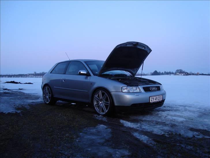 Audi A3 TDI billede 17