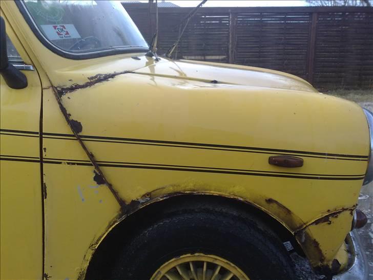 Austin-Morris mascot 1000 (solgt) billede 7