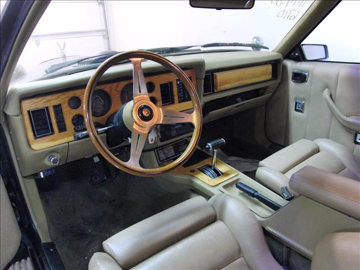 Amerikaner Zimmer Golden Spirit billede 4