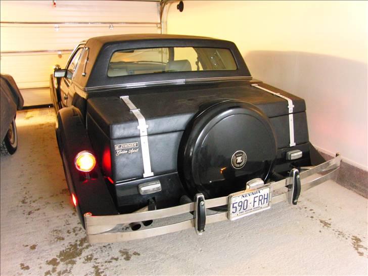 Amerikaner Zimmer Golden Spirit billede 5