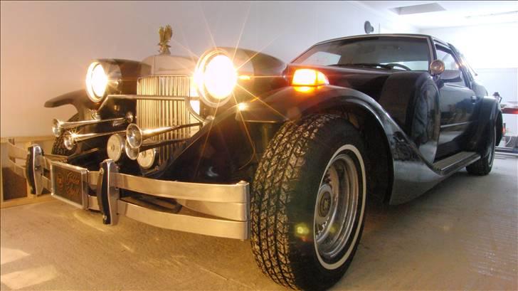 Amerikaner Zimmer Golden Spirit billede 8