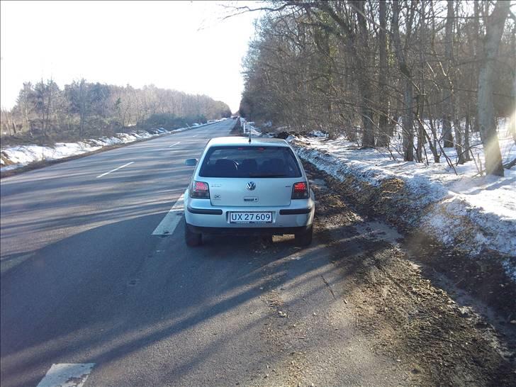 VW Golf 4 Trendline billede 6