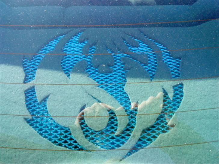 Renault Megane coupe - Hattehylden. scorpion mønster med blåt gitter og lys billede 5