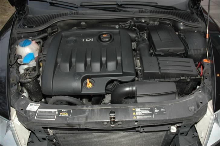 Skoda Octavia Combi Elegance - Stalden med de 105 toptrimmede... billede 12