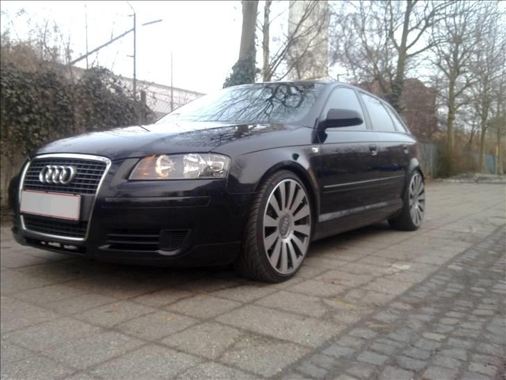 Audi A3 8P (Sportback) billede 12