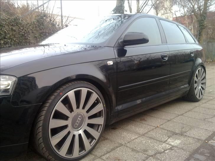 Audi A3 8P (Sportback) billede 13