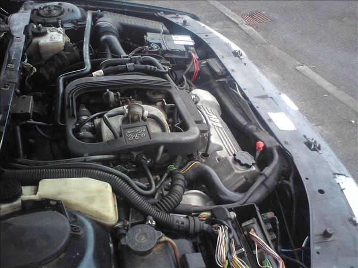 Peugeot 605 sv 24 (Solgt) billede 12