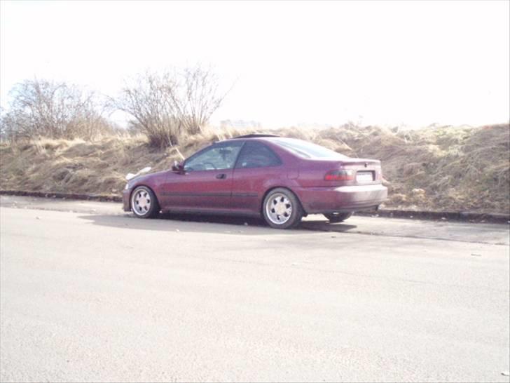 Honda CIVIC COUPE "SOLGT" billede 17