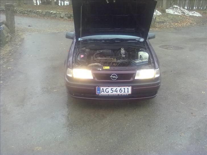 Opel Vectra A billede 5