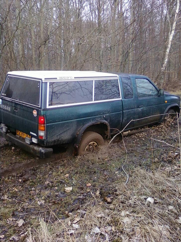 Nissan king cab 4x4 billede 3