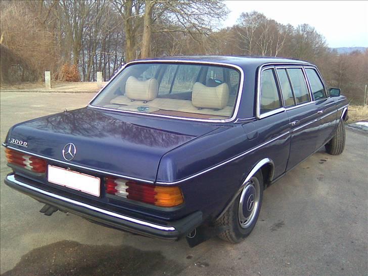 Mercedes Benz LWB Limousine billede 4