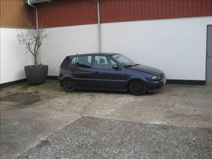 VW Polo 6n SOLGT billede 13