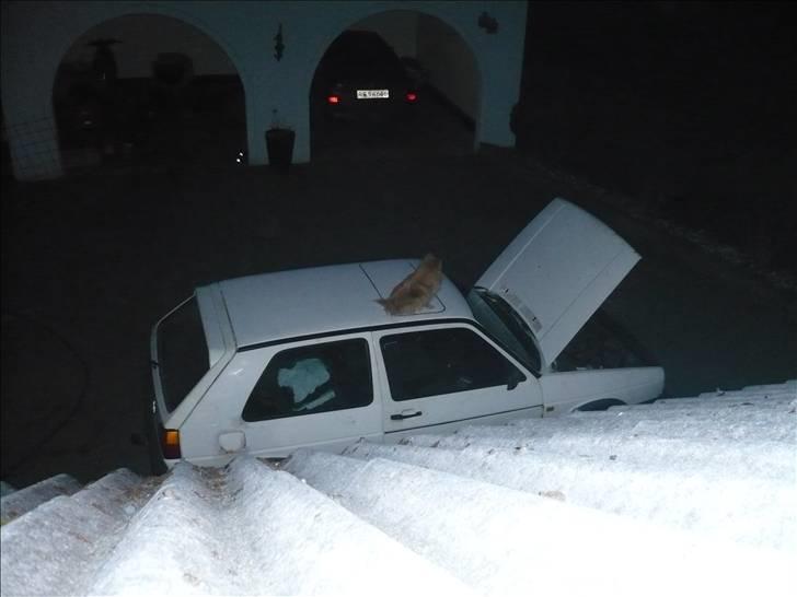 VW GOLF 2 billede 14