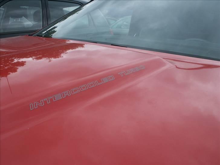 Dodge Daytona Shelby 2,2- SOLGT - Jo jo... bule i hjelmen større end den i bukserne :-) billede 5