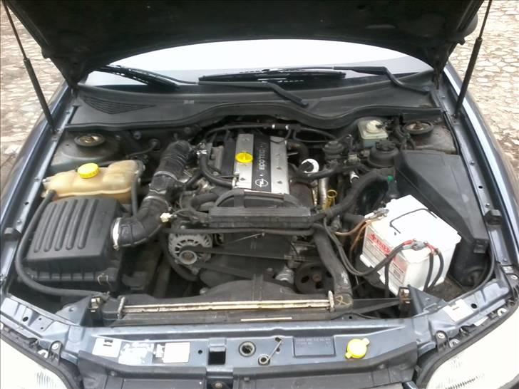 Opel Omega 2,0 16v billede 9