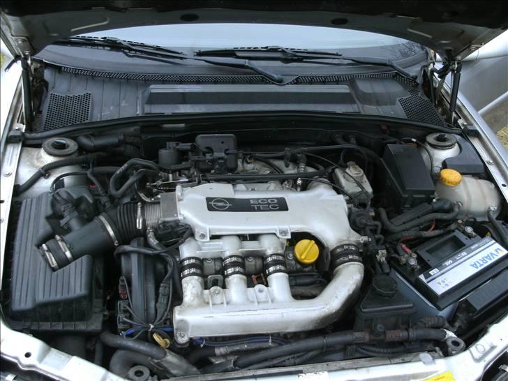 Opel vectra B billede 7