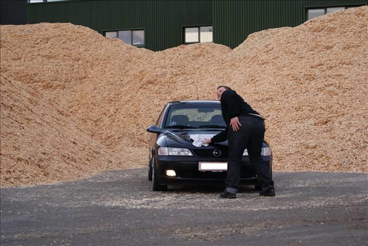 Opel Vectra B Solgt billede 3