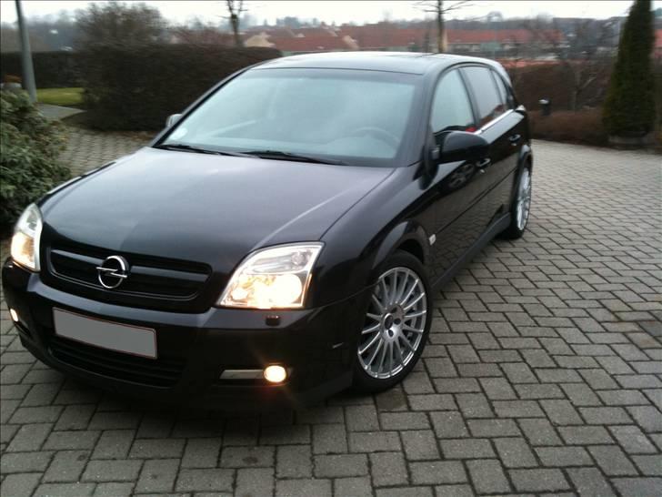 Opel Signum 3,2 V6 (Til salg) billede 2