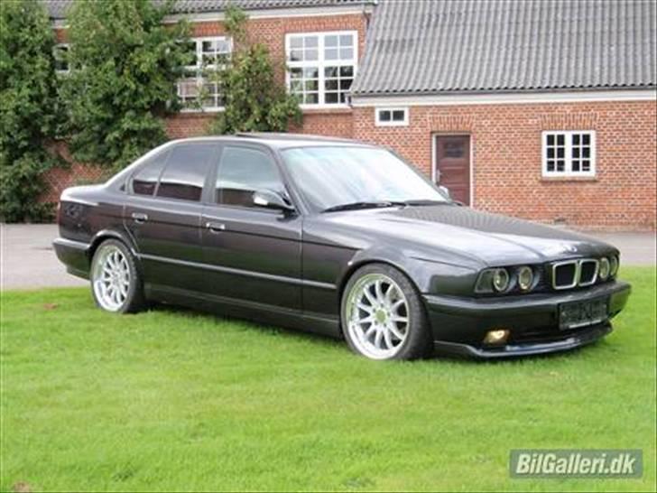 BMW 525i (M5) billede 2