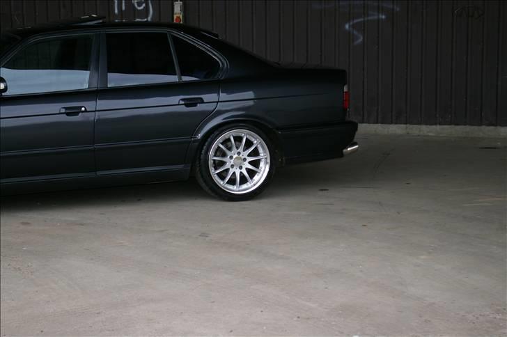 BMW 525i (M5) billede 15