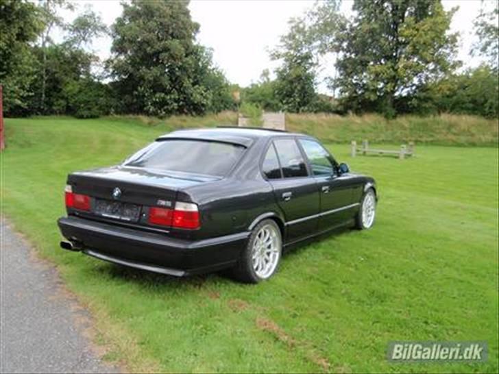 BMW 525i (M5) billede 16