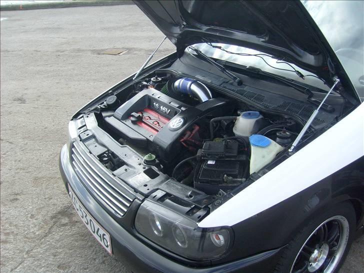 VW polo 6n GTI  (SOLGT) - Den dejlige 1.6 16v GTI motor. meget sjælden. køre baaaare super ;) billede 12