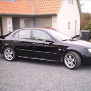 Saab 9-3 Hirsch