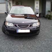 Saab 9-3 Hirsch