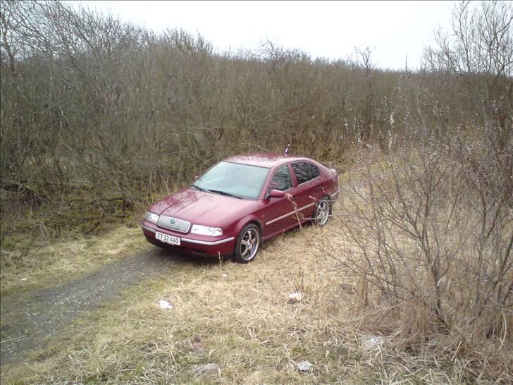 Skoda Octavia billede 9