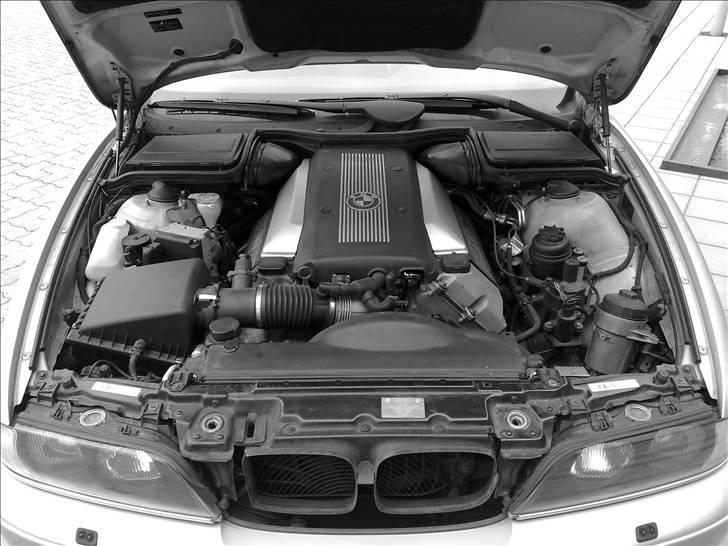BMW E39 540i V8 - Solgt billede 15