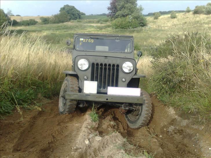 Jeep Willys CJ-3B - Min gamle Jeep :) billede 14