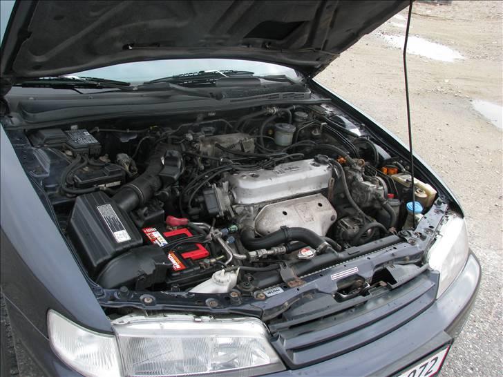 Honda Accord Aerodeck billede 7