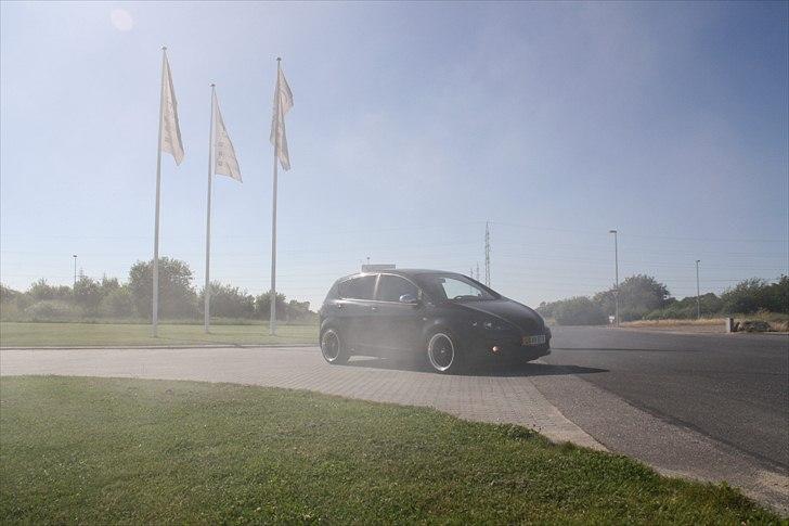 Seat Altea billede 6