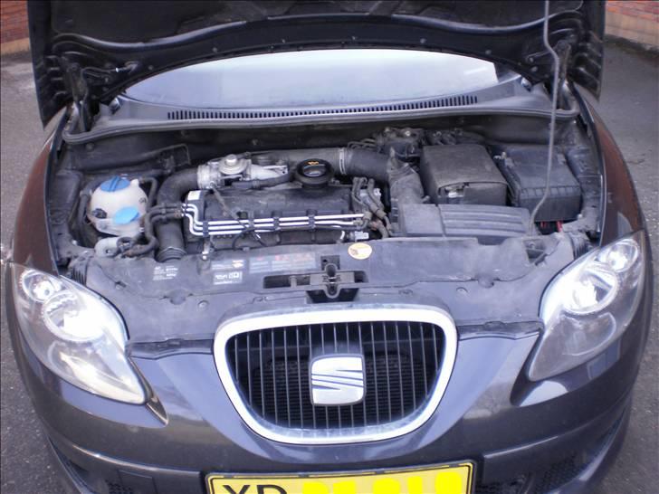 Seat Altea  billede 15