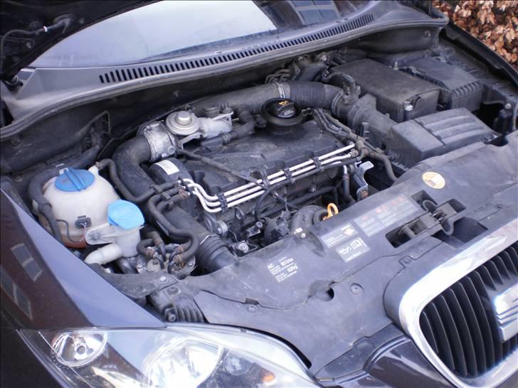 Seat Altea  billede 16