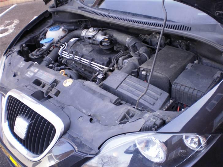 Seat Altea  billede 17