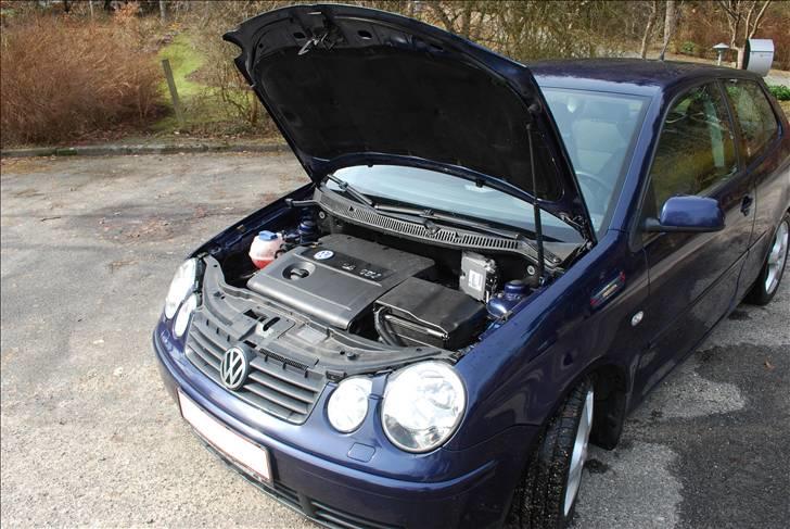 VW Polo 9N billede 7