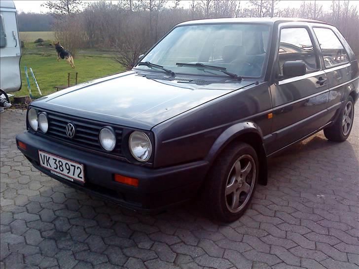 VW Golf II *Byttet* - kænguruhund i baggrunden aka spichael alarm billede 2