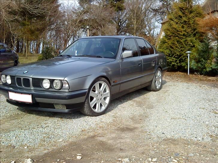 BMW 535i (SOLGT) billede 3