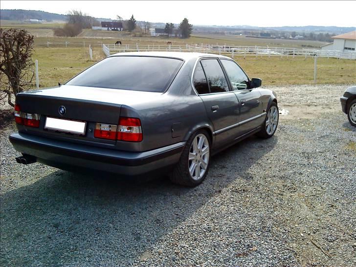 BMW 535i (SOLGT) billede 6