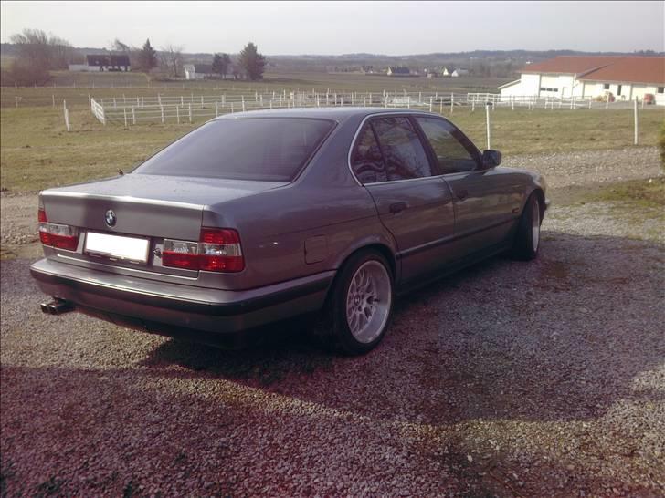 BMW 535i (SOLGT) billede 11