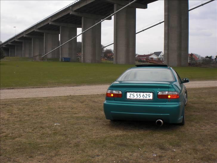 Honda civic coupe (SOLGT) billede 8