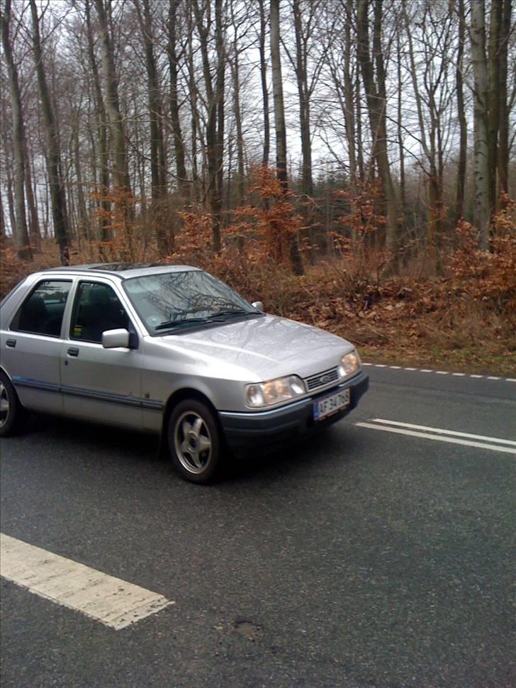Ford Sierra Azur billede 19